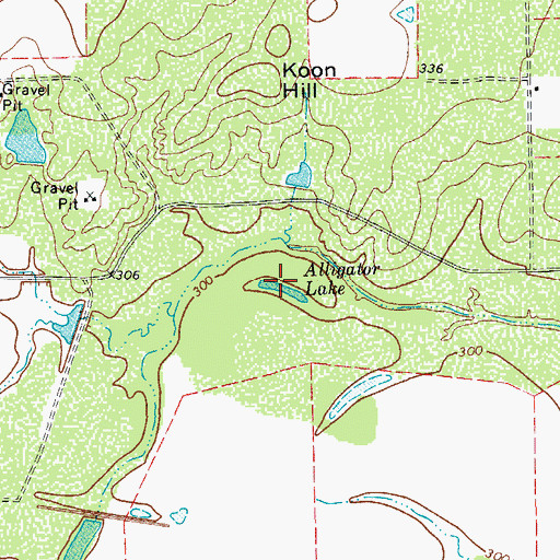 Topographic Map of Alligator Lake, TX