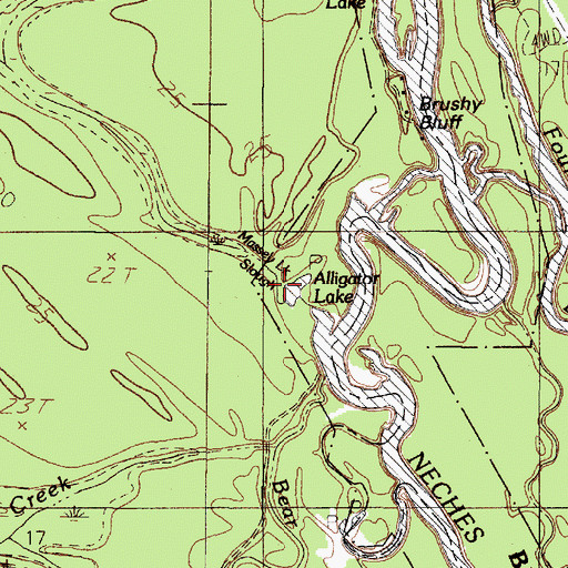 Topographic Map of Alligator Lake, TX