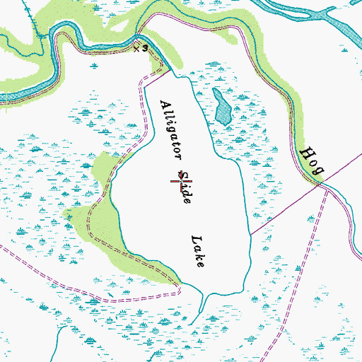 Topographic Map of Alligator Slide Lake, TX