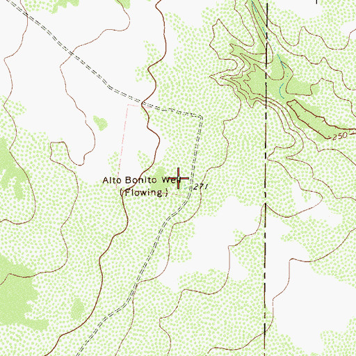 Topographic Map of Alto Bonito Well, TX