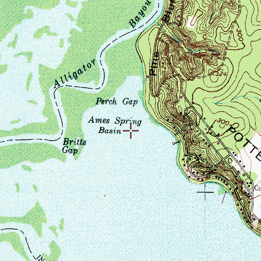 Topographic Map of Ames Spring Basin, TX