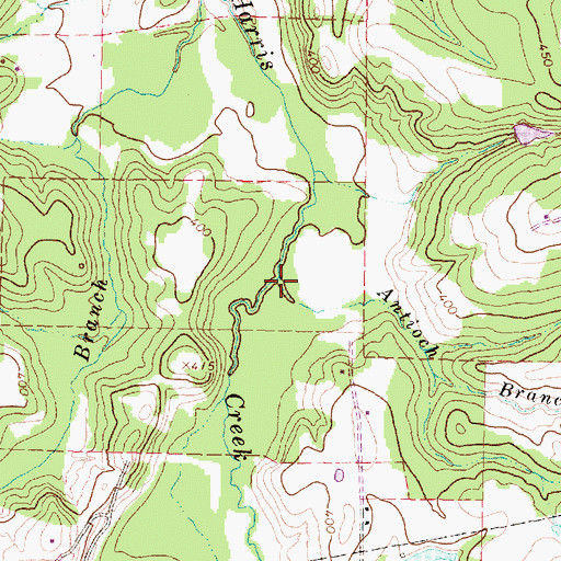 Topographic Map of Antioch Branch, TX