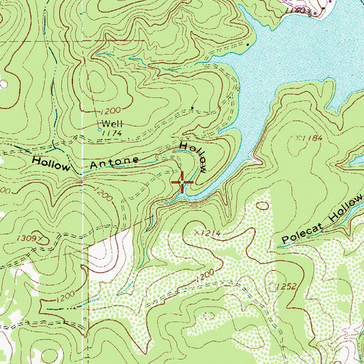 Topographic Map of Antone Hollow, TX