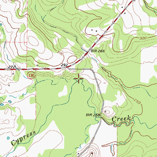 Topographic Map of Arbery Branch, TX