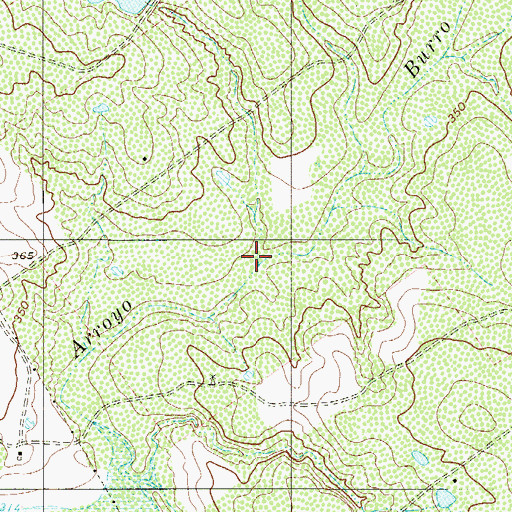 Topographic Map of Arroyo Bugies, TX