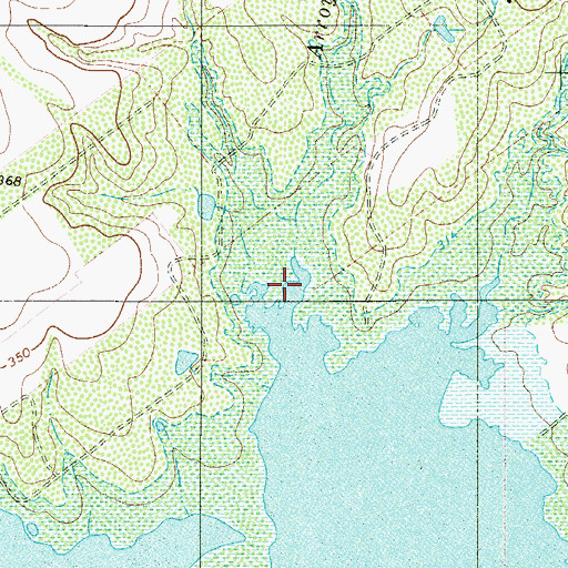 Topographic Map of Arroyo Leon, TX