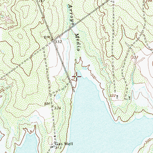 Topographic Map of Arroyo Medio, TX