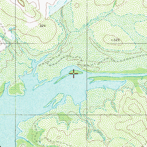 Topographic Map of Arroyo Veleno, TX