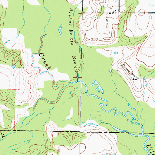 Topographic Map of Arthur Reeves Branch, TX