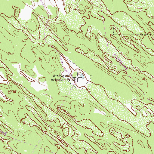 Topographic Map of Atravesada Artesian Well, TX