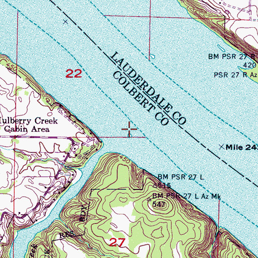 Topographic Map of Newport Landing (historical), AL