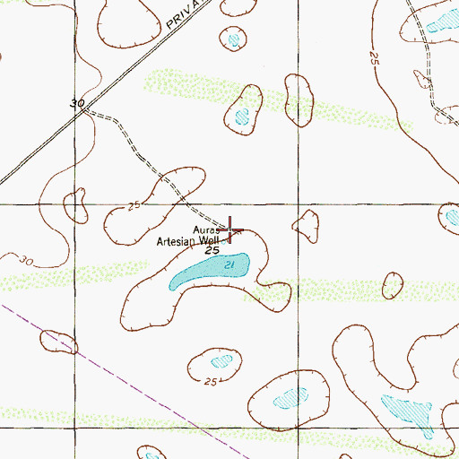Topographic Map of Auras Artesian Well, TX