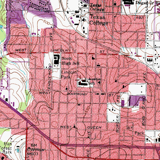 Topographic Map of Austin School, TX