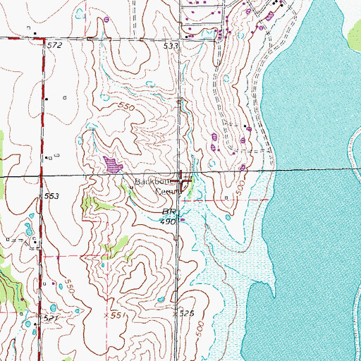 Topographic Map of Backbone Cemetery, TX