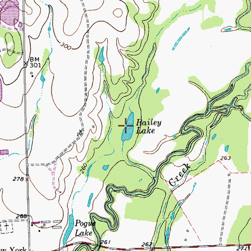 Topographic Map of Bailey Lake, TX