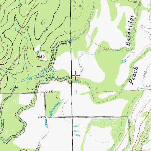 Topographic Map of Baldridge Creek, TX