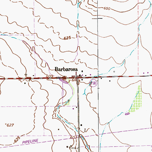 Topographic Map of Barbarosa, TX