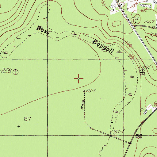 Topographic Map of Bass Baygall, TX