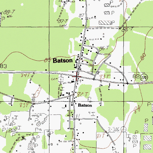 Topographic Map of Batson, TX