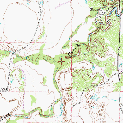 Topographic Map of Bear Branch, TX
