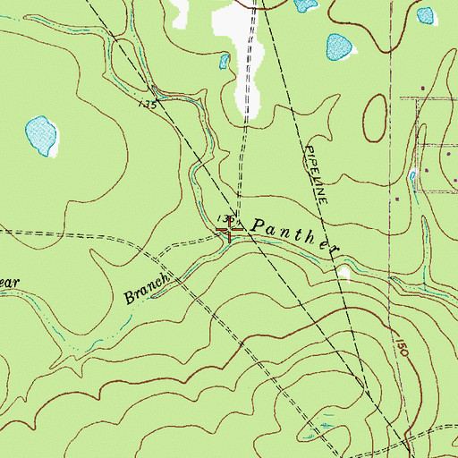 Topographic Map of Bear Branch, TX