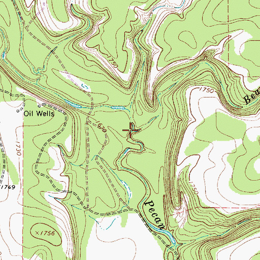 Topographic Map of Bear Branch, TX