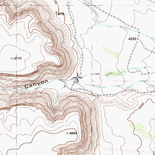 Topographic Map of Bear Canyon, TX