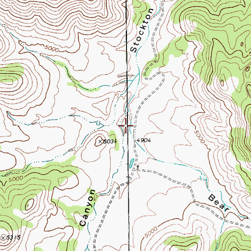 Topographic Map of Bear Canyon, TX