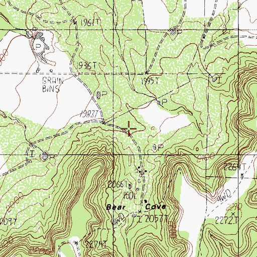 Topographic Map of Bear Cove, TX