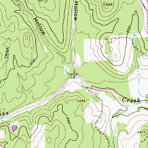 Topographic Map of Bear Hollow, TX