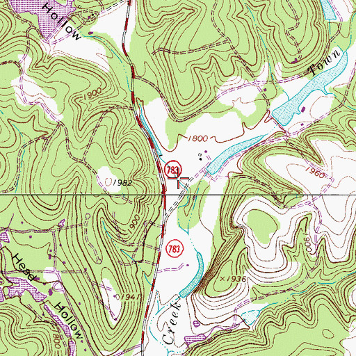 Topographic Map of Bear Hollow, TX