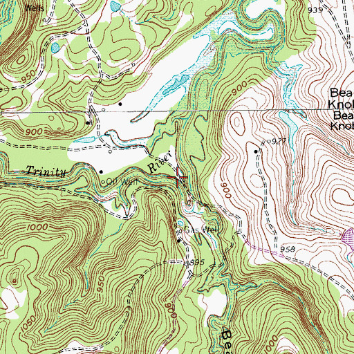Topographic Map of Bear Hollow, TX