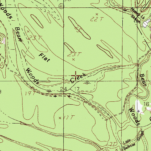 Topographic Map of Bear Woods Creek, TX