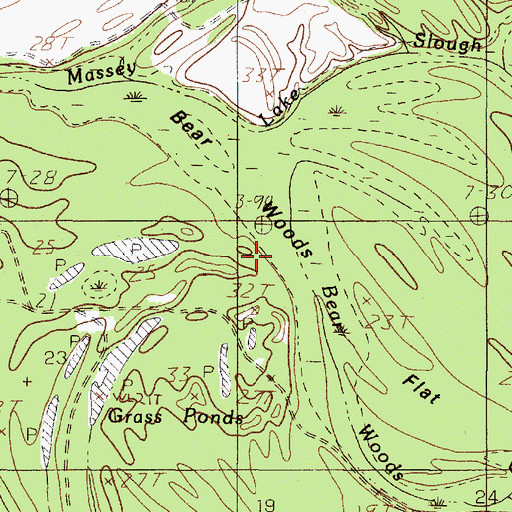 Topographic Map of Bear Woods Flat, TX