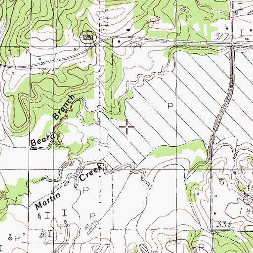 Topographic Map of Beard Branch, TX
