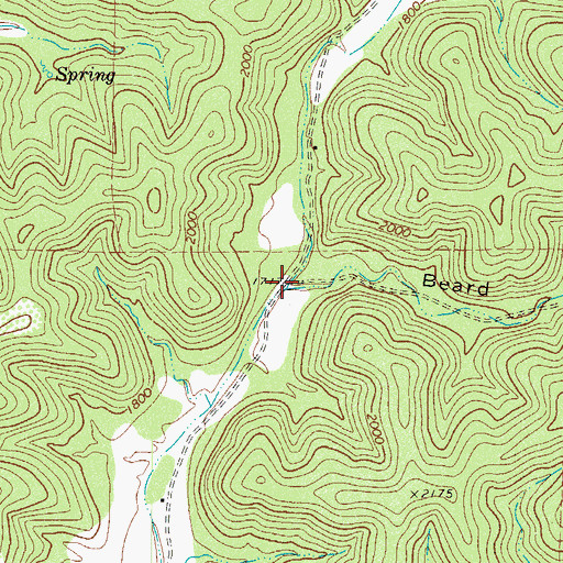 Topographic Map of Beard Hollow, TX