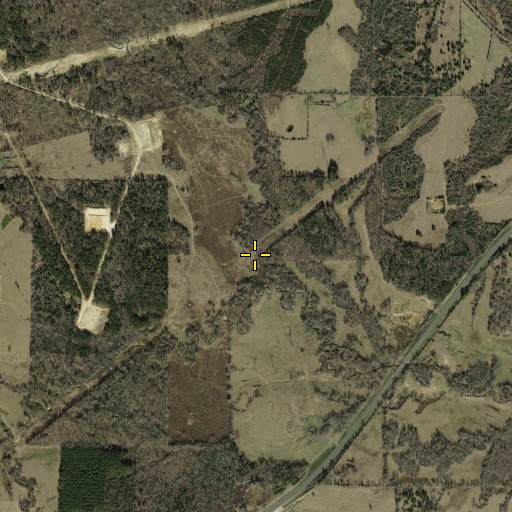 Aerial/Satellite Image of Bearden Branch, TX