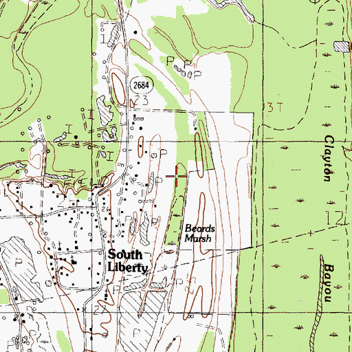 Topographic Map of Beards Marsh, TX