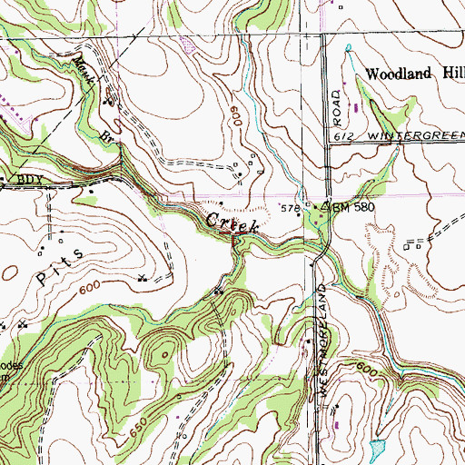 Topographic Map of Bee Branch, TX