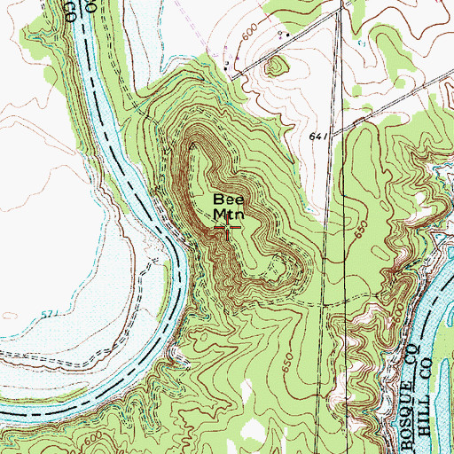 Topographic Map of Bee Mountain, TX