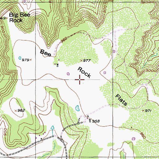 Topographic Map of Bee Rock Flats, TX