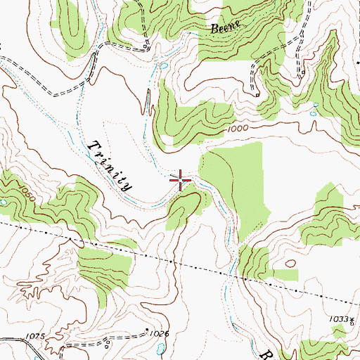 Topographic Map of Beene Branch, TX