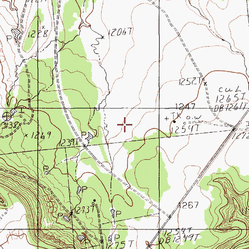 Topographic Map of Belding Oil Field, TX