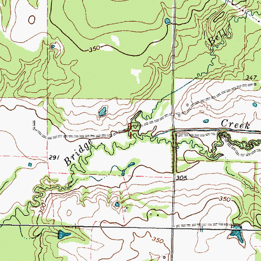 Topographic Map of Bell Branch, TX