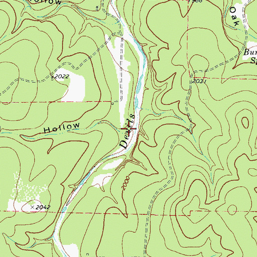 Topographic Map of Bell Hollow, TX