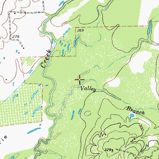 Topographic Map of Ben Branch, TX