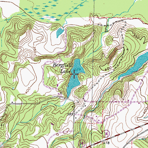 Topographic Map of Bergfeld Lake, TX