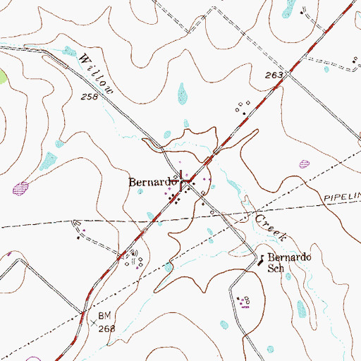 Topographic Map of Bernardo, TX