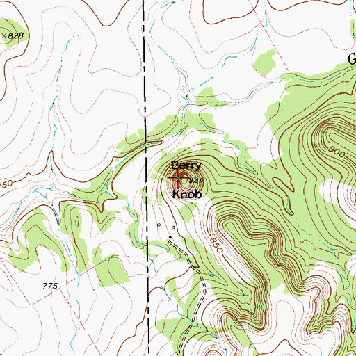 Topographic Map of Berry Knob, TX