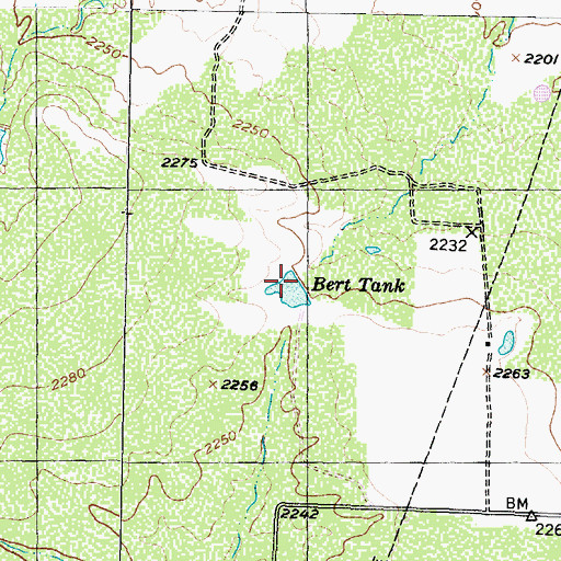 Topographic Map of Bert Tank, TX